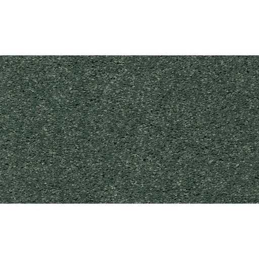 Soft Edition I Calypso 662