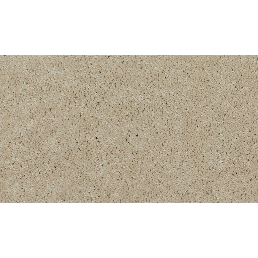 Soft Edition II Contempo 722