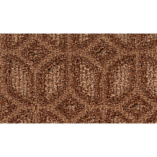 Regal Appeal Renew 250