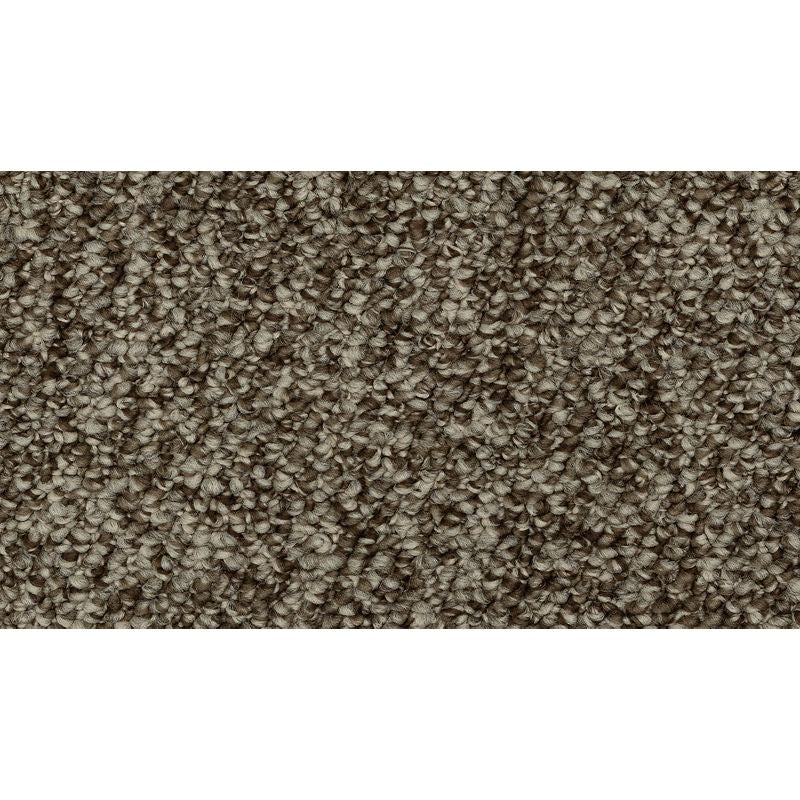 Mohawk Enduring Amazement 869 Garden Bramble Carpet — Stone & Tile