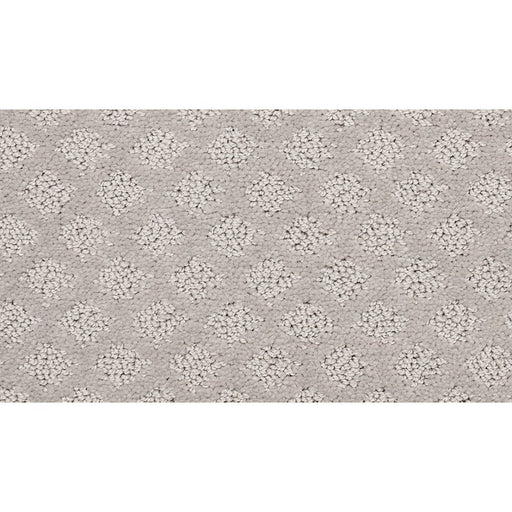 Champion II Stardust 901