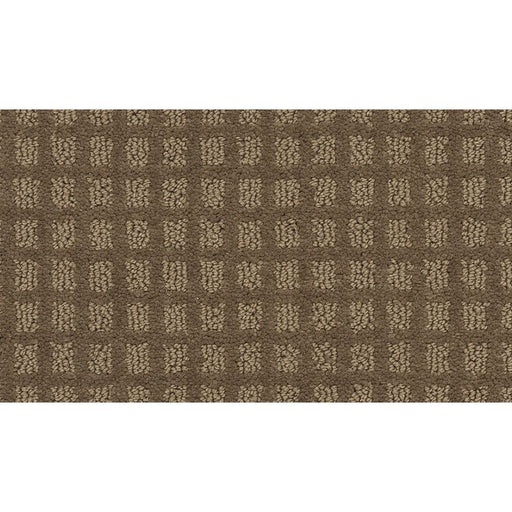 City Sights II Tortoise Shell 855