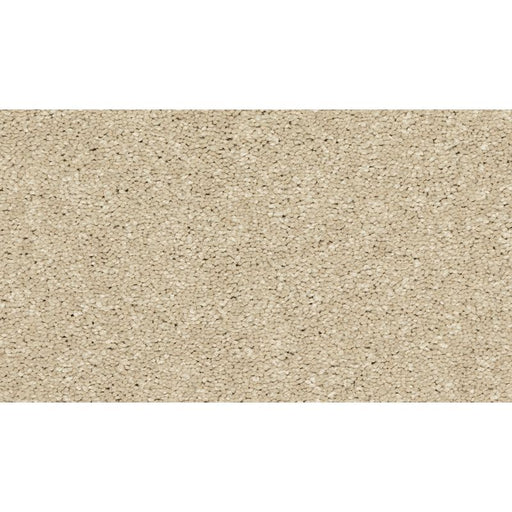 Modern Story III Stone Lion 725