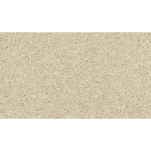 Modern Story III Sugar Cookie 757