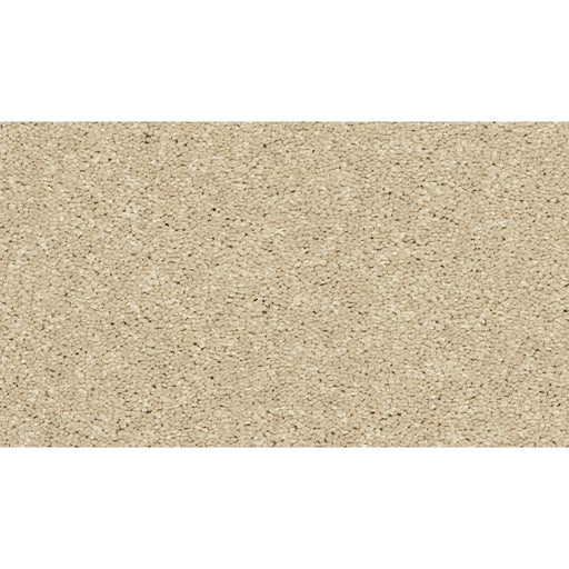 Modern Story III Seashells 766