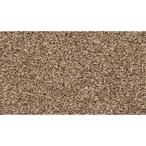 Color Classics II Mystic Wood 789