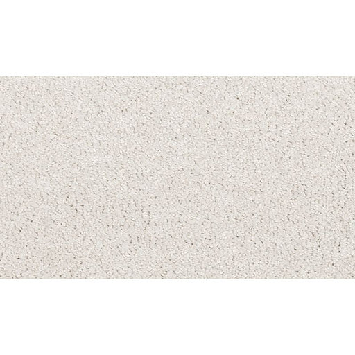 La Jolla Cove II Shells 907