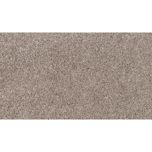 Tender Moment II Iron Wood 849