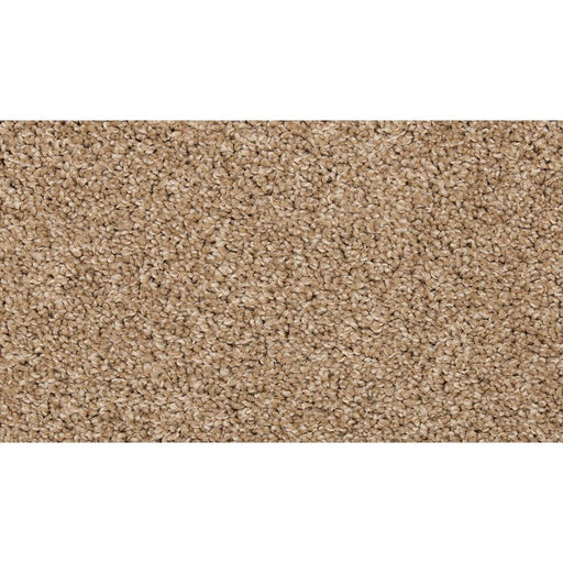 Renovate II Toffee Cream 17