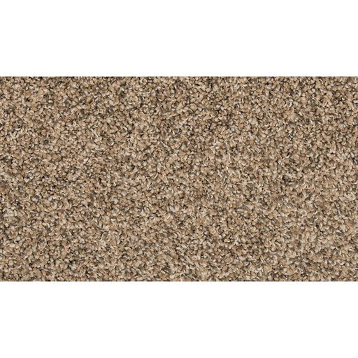 Renovate III Flax Seed 14