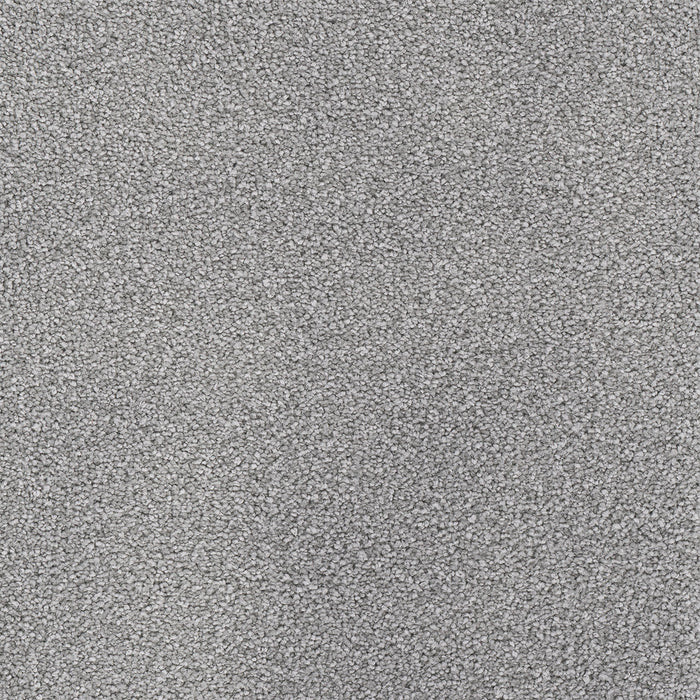 Star Struck Polyester Smoke 420 Carpet Textured 1