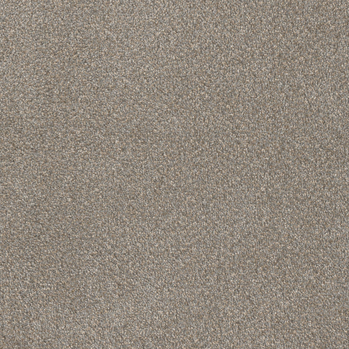 Star Struck Polyester Ancient Marble 473 Carpet Textured 1