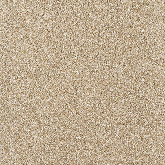 Star Struck Polyester Sawgrass 701 Carpet Textured 1
