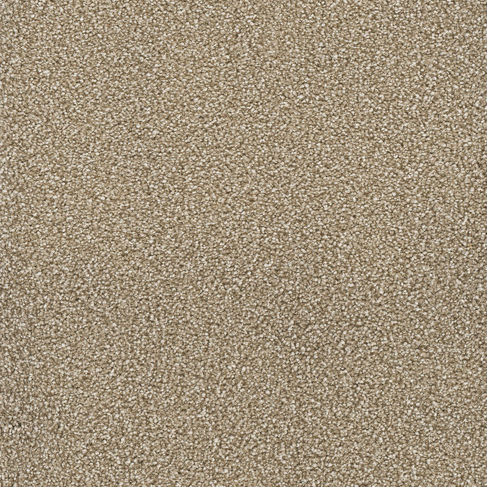 Star Struck Polyester Quail 725 Carpet Textured 1