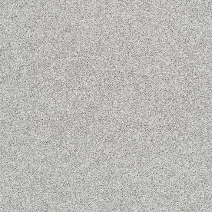 Star Struck Polyester Morning Dove 813 Carpet Textured 1