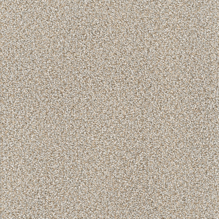 Star Struck Polyester Iron Frost 815 Carpet Textured 1
