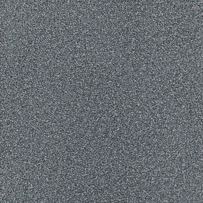 Star Struck Polyester Pewter 890 Carpet Textured 1