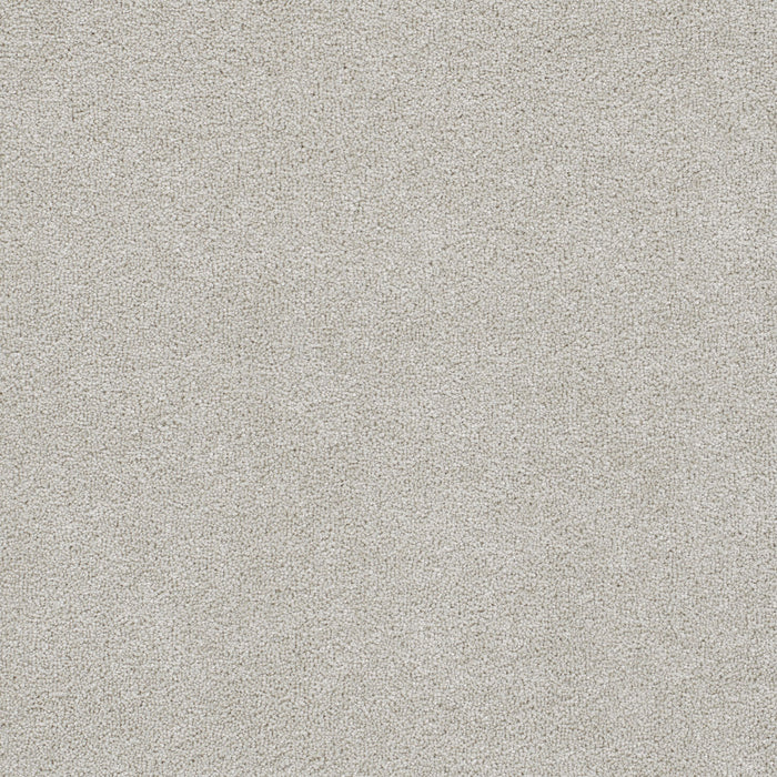 Star Struck Polyester Andes 924 Carpet Textured 1
