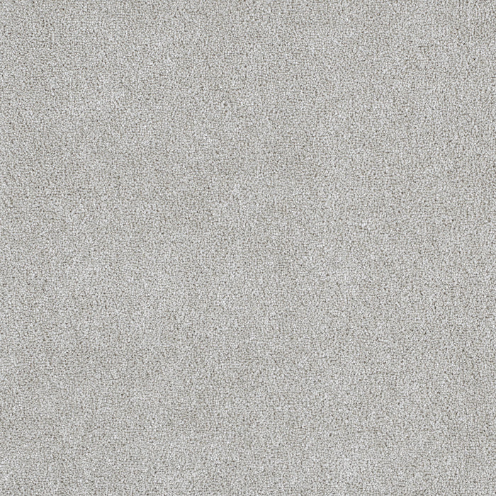Star Struck Polyester Slumber 926 Carpet Textured 1