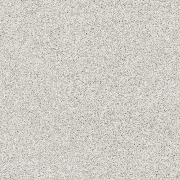 Star Struck Polyester Snowbird 944 Carpet Textured 1