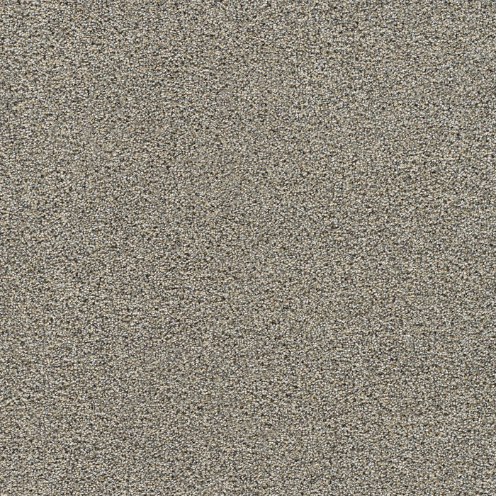 Gold Standard III Polyester Note 2057 Carpet Textured 1