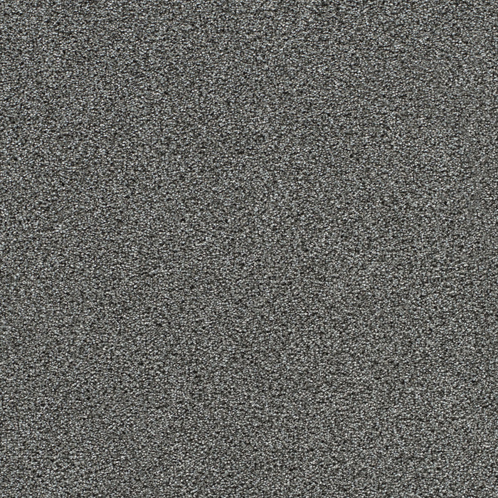 Gold Standard II Polyester Mica 2185 Carpet Textured 1