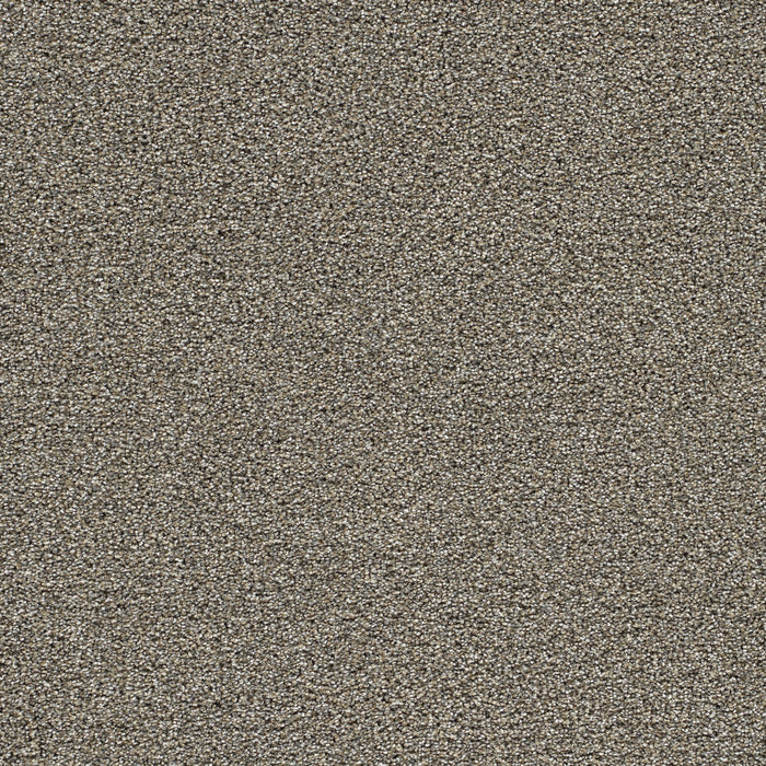 Gold Standard III Polyester Pewter 2316 Carpet Textured 1