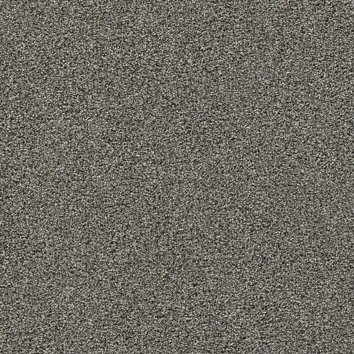 Gold Standard III Polyester Graphite 2330 Carpet Textured 1