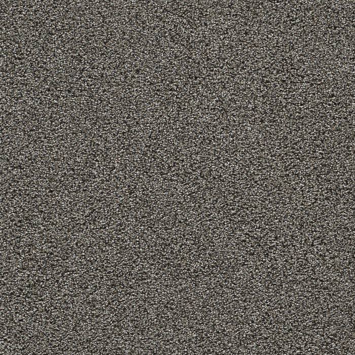 Gold Standard II Polyester Zinc 2376 Carpet Textured 1