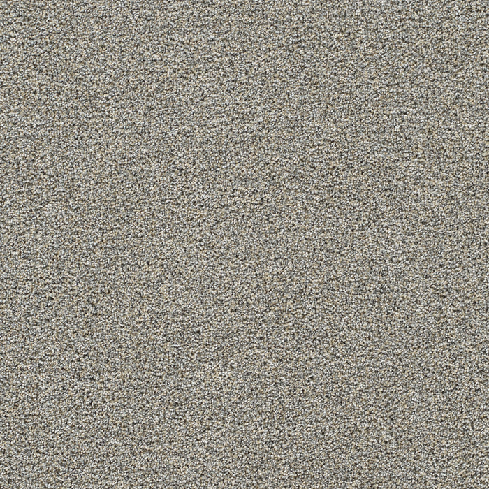 Gold Standard II Polyester Crystal 2448 Carpet Textured 1