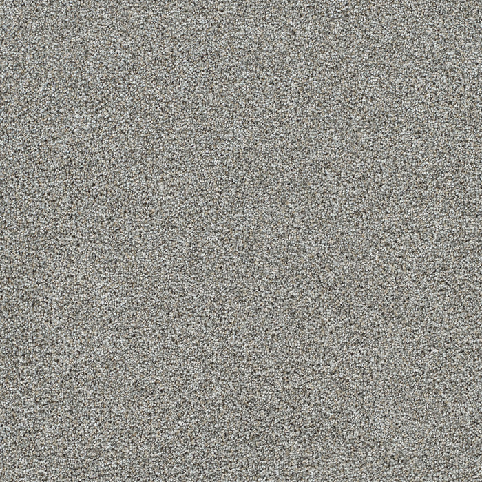 Gold Standard III Polyester Chrome 2484 Carpet Textured 1