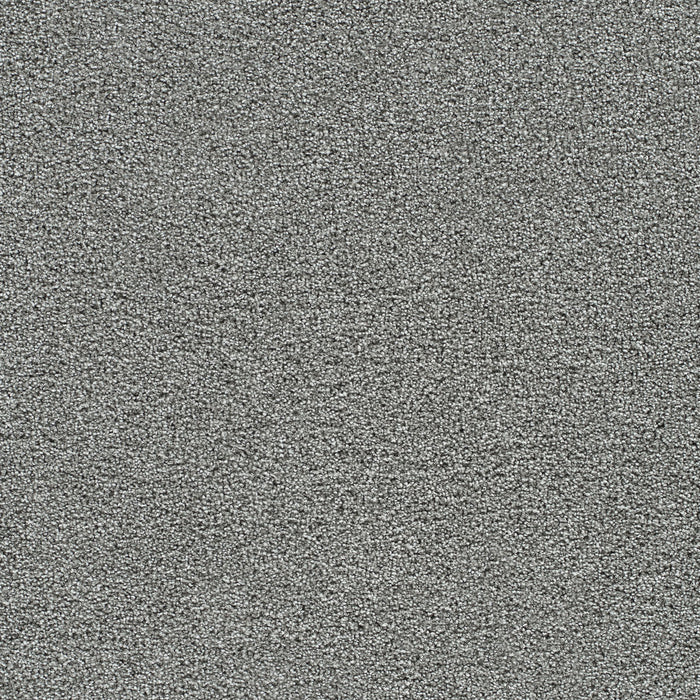 Gold Standard I Polyester Galvanized 2494 Carpet Textured 1