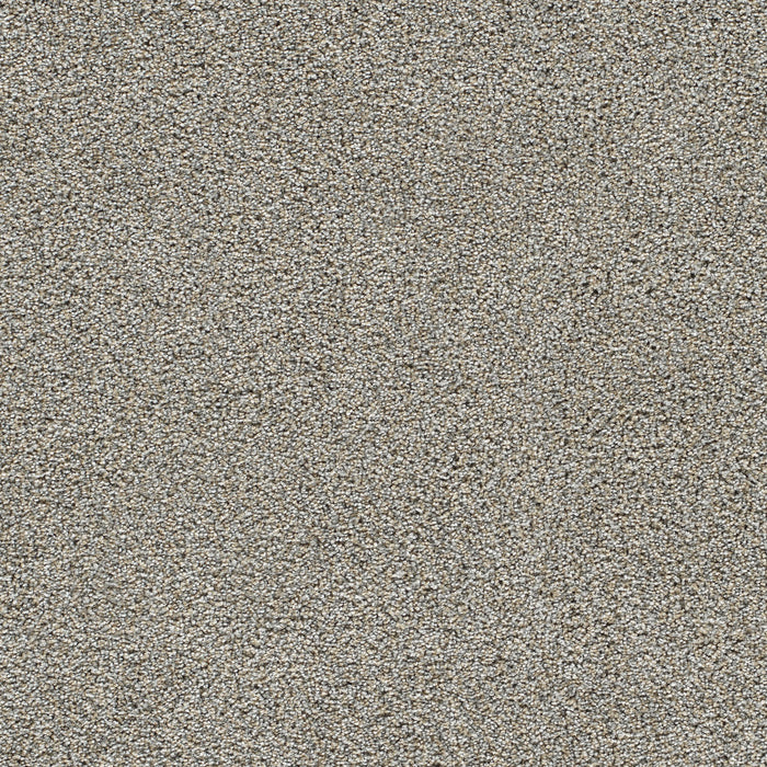 Gold Standard II Polyester Sterling 2508 Carpet Textured 1