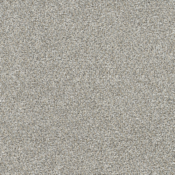 Gold Standard III Polyester Glitter 2611 Carpet Textured 1