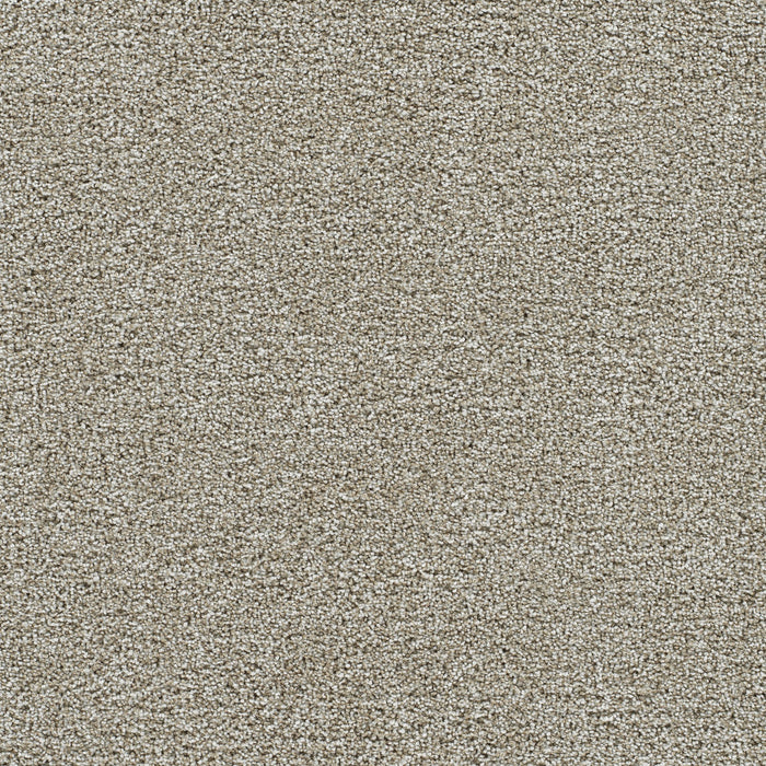 Gold Standard II Polyester Alloy 2632 Carpet Textured 1