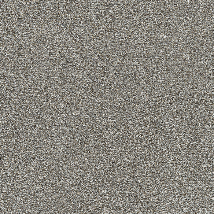 Gold Standard III Polyester Metallic 2648 Carpet Textured 1