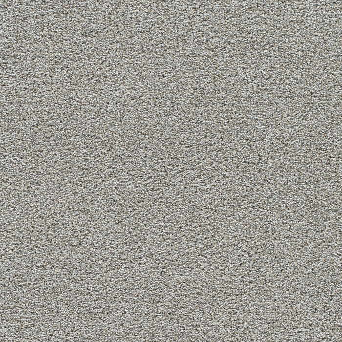 Gold Standard I Polyester Quartz 2678 Carpet Textured 1