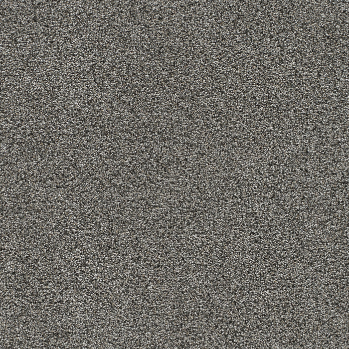 Gold Standard III Polyester Benchmark 2684 Carpet Textured 1