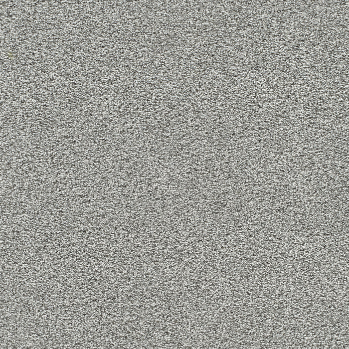 Gold Standard III Polyester Diamond 2701 Carpet Textured 1