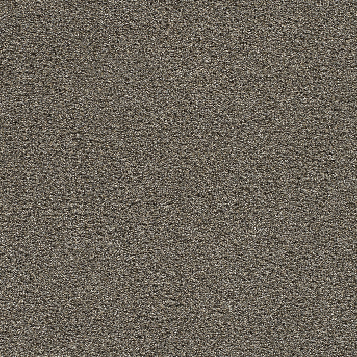 Gold Standard II Polyester Ingot 2801 Carpet Textured 1