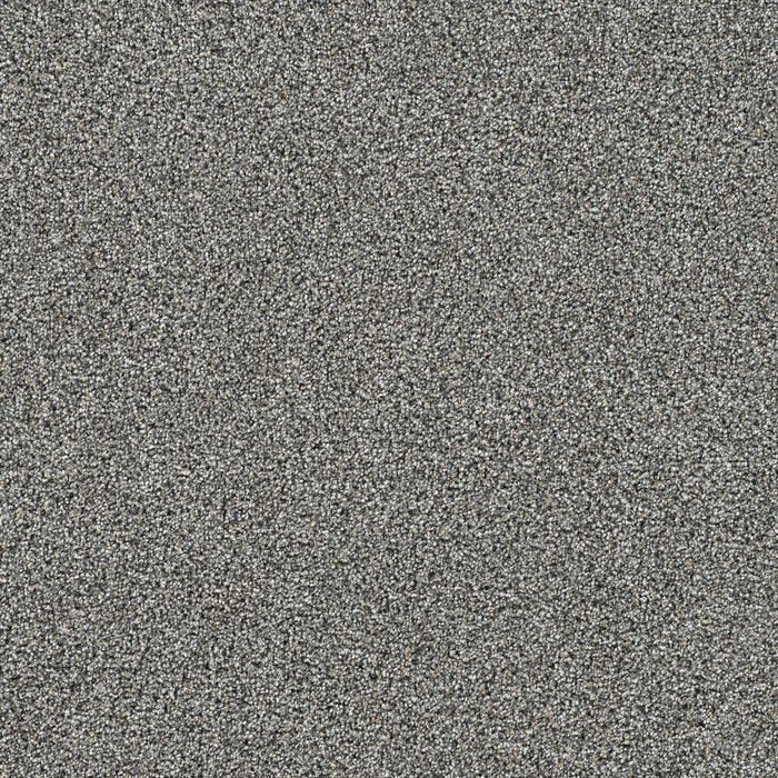 Gold Standard I Polyester Reserve 2817 Carpet Textured 1