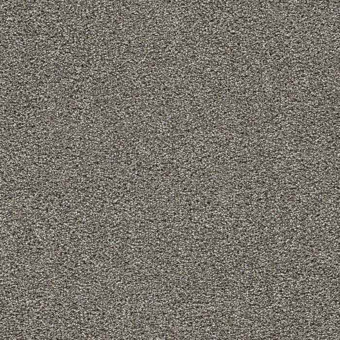 Gold Standard I Polyester Topaz 2819 Carpet Textured 1