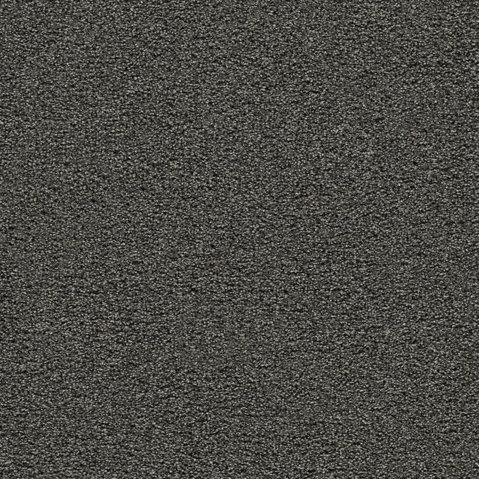 Gold Standard II Polyester Onyx 2875 Carpet Textured 1