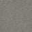 Gold Standard III Polyester Platinum 2898 Carpet Textured 1