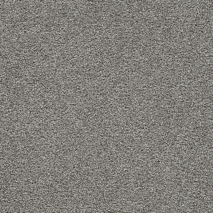 Gold Standard II Polyester Platinum 2898 Carpet Textured 1