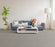 Gold Standard I Polyester Quartz 2678 Carpet Textured 2
