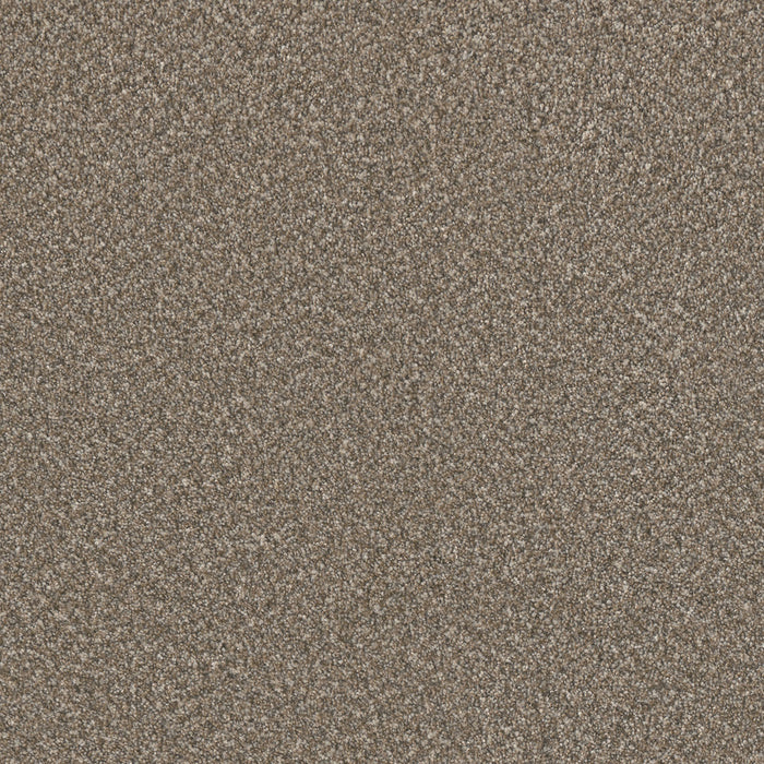 Lucky Penny III Polyester Flaxen 2391 Carpet Textured 1