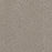 Lucky Penny II Polyester Burnished 2499 Carpet Textured 1