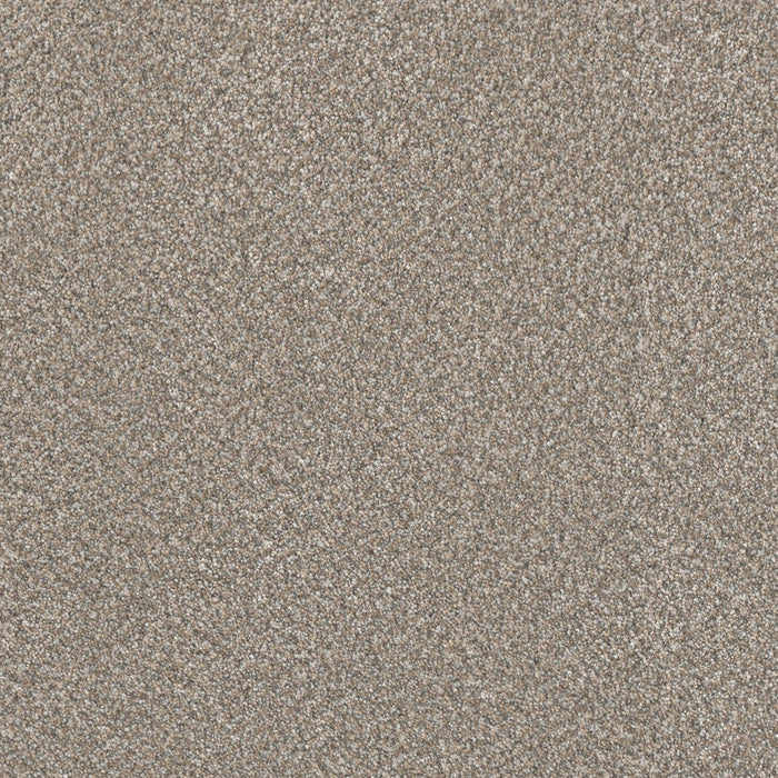 Lucky Penny I Polyester Burnished 2499 Carpet Textured 1