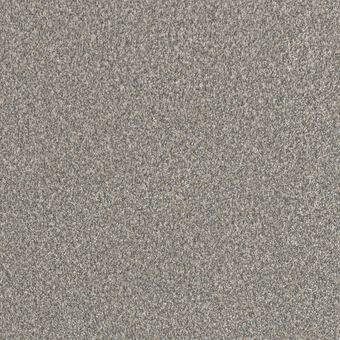 Lucky Penny III Polyester Ablaze 2522 Carpet Textured 1